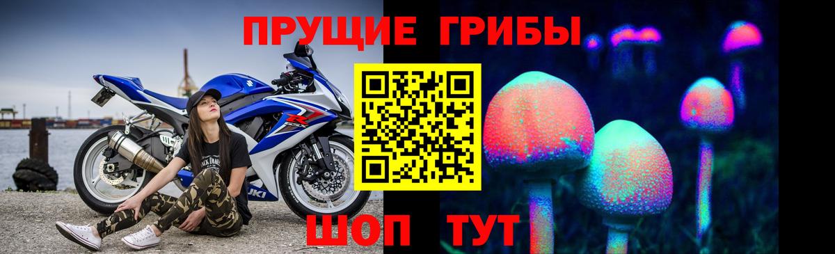 Галлюциногенные грибы Psilocybe  Вход с VPN  Сергиев Посад 