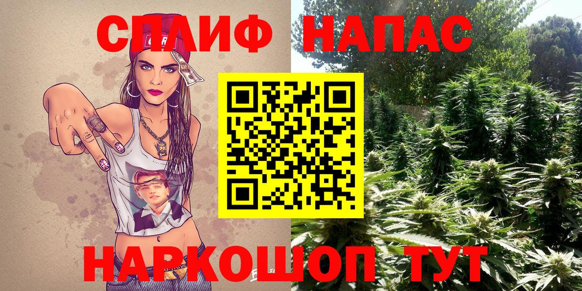 Каннабис ГИДРОПОН  Конопля OG Kush  Вход с VPN  Сергиев Посад  Бошки Шишки LSD WEED 